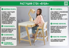 Комплект растущий стол и стул 38 попугаев «Вуди» (Серый, Без покрытия) в Нижнем Тагиле - nizhniy-tagil.mebel-74.com | фото