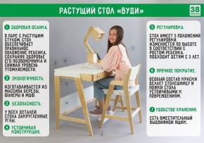 Комплект растущий стол и стул с чехлом 38 попугаев «Вуди» (Белый, Белый, Салют) в Нижнем Тагиле - nizhniy-tagil.mebel-74.com | фото