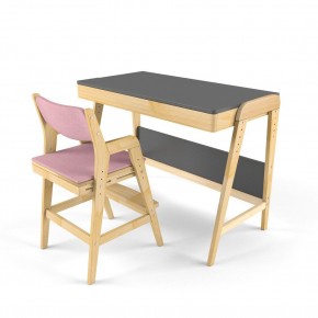 Комплект растущий стол и стул с чехлом 38 попугаев «Вуди» (Серый, Береза, Розовый) в Нижнем Тагиле - nizhniy-tagil.mebel-74.com | фото