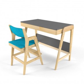 Комплект растущий стол и стул с чехлом 38 попугаев «Вуди» (Серый, Без покрытия, Лазурь) в Нижнем Тагиле - nizhniy-tagil.mebel-74.com | фото