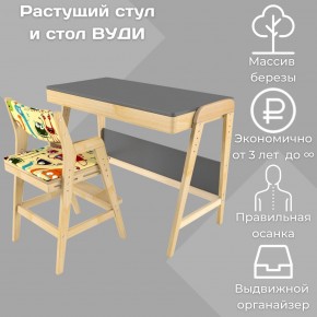 Комплект растущий стол и стул с чехлом 38 попугаев «Вуди» (Серый, Без покрытия, Монстры) в Нижнем Тагиле - nizhniy-tagil.mebel-74.com | фото