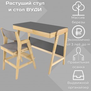 Комплект растущий стол и стул с чехлом 38 попугаев «Вуди» (Серый, Без покрытия, Серый) в Нижнем Тагиле - nizhniy-tagil.mebel-74.com | фото