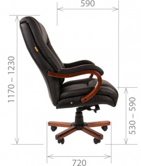 Кресло для руководителя CHAIRMAN  503 (Кожа) Черное в Нижнем Тагиле - nizhniy-tagil.mebel-74.com | фото