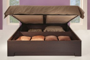 Кровать-3 с подъемным основанием 1600 Парма в Нижнем Тагиле - nizhniy-tagil.mebel-74.com | фото
