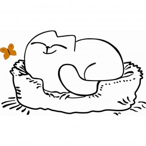 Кровать двухуровневая Кот № 900.1 ЛЕВАЯ (туя светлая/белый) в Нижнем Тагиле - nizhniy-tagil.mebel-74.com | фото