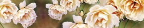 Кухонный фартук Цветы 066 МДФ матовый (3000) Flowers в Нижнем Тагиле - nizhniy-tagil.mebel-74.com | фото