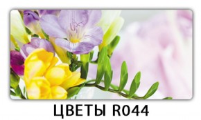 Обеденный раздвижной стол Бриз с фотопечатью Цветы R044 в Нижнем Тагиле - nizhniy-tagil.mebel-74.com | фото