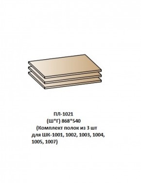 ПЛ-1021 (Комплект полок из 3 шт для ШК-1001, 1002, 1003, 1004, 1005, 1007) в Нижнем Тагиле - nizhniy-tagil.mebel-74.com | фото