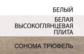 Шкаф 2D/TYP 20A, LINATE ,цвет белый/сонома трюфель в Нижнем Тагиле - nizhniy-tagil.mebel-74.com | фото