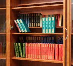 Шкаф для книг арт. 200 в Нижнем Тагиле - nizhniy-tagil.mebel-74.com | фото