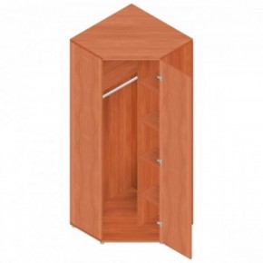 Шкаф для одежды "Референт" Р.Ш-10 в Нижнем Тагиле - nizhniy-tagil.mebel-74.com | фото