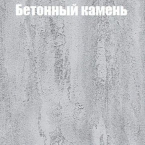 Шкаф-купе Бассо 1.0 (Дуб Крафт серый/Бетонный камень) 2 двери ЛДСП в Нижнем Тагиле - nizhniy-tagil.mebel-74.com | фото