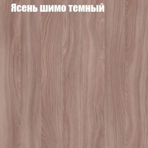 Шкаф-купе «ТАНДЕМ» 2-х дверный в алюминиевом профиле (Дверь ЛДСП+ЛДСП) 1200/h2200 в Нижнем Тагиле - nizhniy-tagil.mebel-74.com | фото