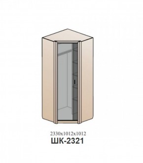 Шкаф ШЕР Дуб серый/айронвуд серебро (ШК-2321) в Нижнем Тагиле - nizhniy-tagil.mebel-74.com | фото