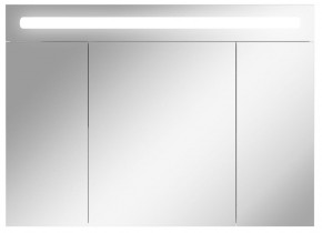 Шкаф-зеркало Аврора 100 с подсветкой LED Домино (DV8012HZ) в Нижнем Тагиле - nizhniy-tagil.mebel-74.com | фото