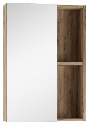 Шкаф-зеркало Craft 50 левый/правый Домино (DCr2212HZ) в Нижнем Тагиле - nizhniy-tagil.mebel-74.com | фото