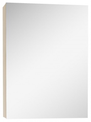 Шкаф-зеркало Мечта 50 Дуб сонома АЙСБЕРГ (DM2318HZ) в Нижнем Тагиле - nizhniy-tagil.mebel-74.com | фото