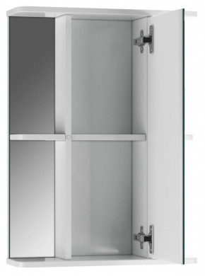 Шкаф-зеркало Норма 2-50 правый АЙСБЕРГ (DA1608HZ) в Нижнем Тагиле - nizhniy-tagil.mebel-74.com | фото