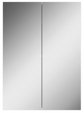 Шкаф-зеркало Норма 50 2 двери АЙСБЕРГ (DA1636HZ) в Нижнем Тагиле - nizhniy-tagil.mebel-74.com | фото