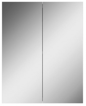 Шкаф-зеркало Норма 55 2 двери АЙСБЕРГ (DA1638HZ) в Нижнем Тагиле - nizhniy-tagil.mebel-74.com | фото