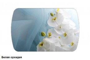 Стол Бостон 2 (1100*700) опоры Брифинг (Стекло/фотопечать Белая орхидея) в Нижнем Тагиле - nizhniy-tagil.mebel-74.com | фото