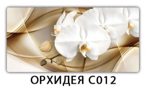 Стол раздвижной Трилогия с фотопечатью Цветы R044 в Нижнем Тагиле - nizhniy-tagil.mebel-74.com | фото