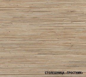 ТОМИЛЛА Кухонный гарнитур Оптима 5 (2700*1600 мм ) в Нижнем Тагиле - nizhniy-tagil.mebel-74.com | фото