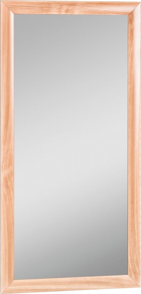 Зеркало МДФ профиль 1200х600 Бук Домино (DM9002Z) в Нижнем Тагиле - nizhniy-tagil.mebel-74.com | фото